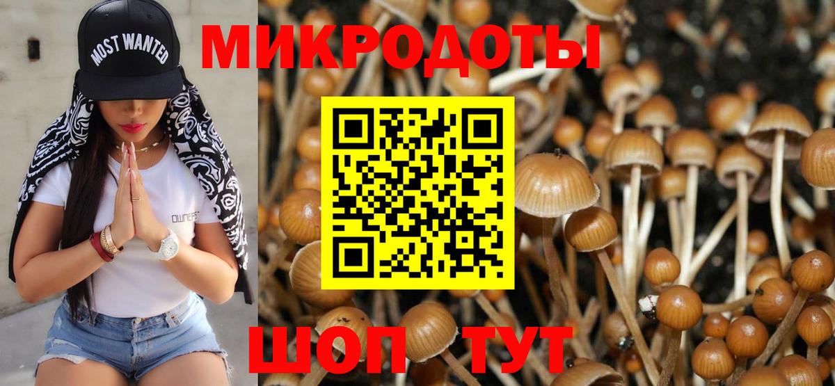 Галлюциногенные грибы мицелий Коркино