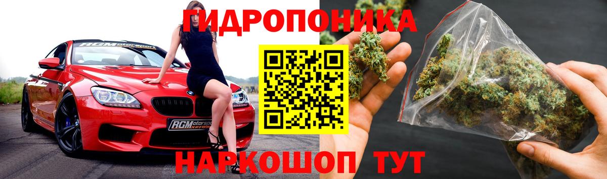 Канабис план Коркино